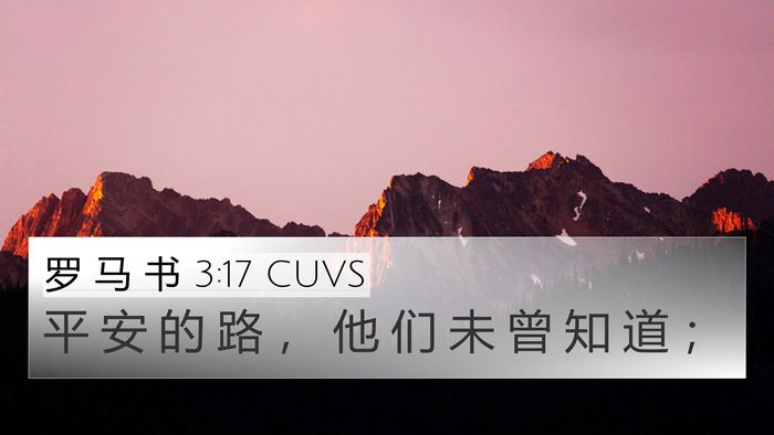 罗 马 书 3:17 CUVS Bible Verse Image