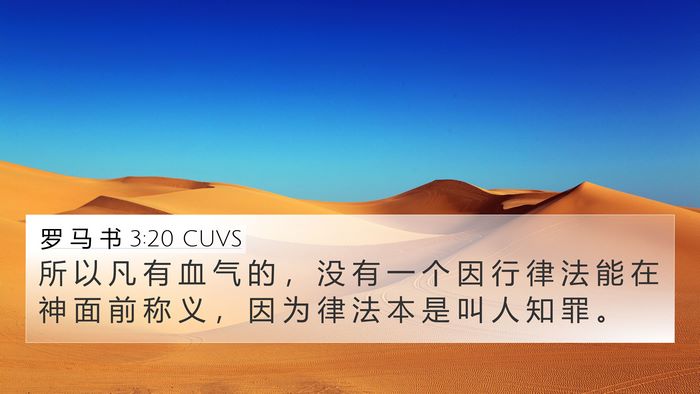 罗 马 书 3:20 CUVS Bible Verse Image
