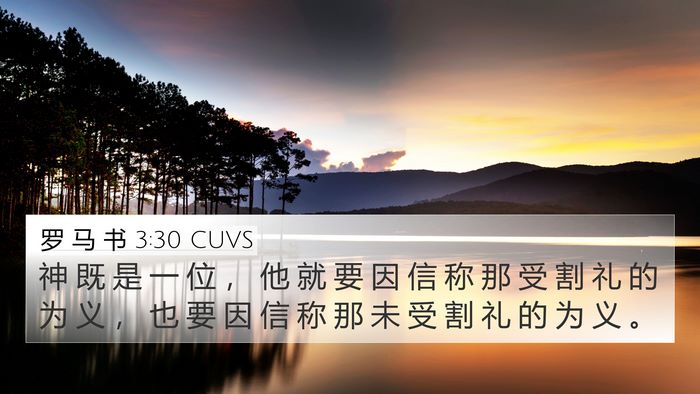 罗 马 书 3:30 CUVS Bible Verse Image