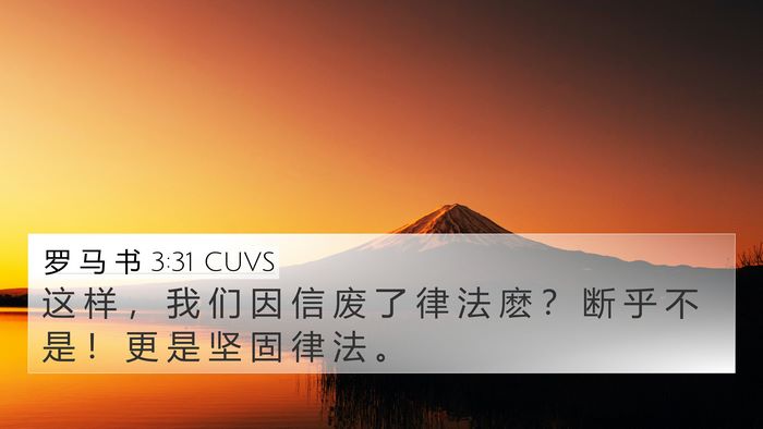 罗 马 书 3:31 CUVS Bible Verse Image