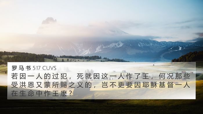 罗 马 书 5:17 CUVS Bible Verse Image