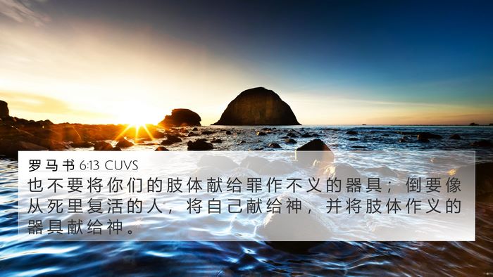 罗 马 书 6:13 CUVS Bible Verse Image