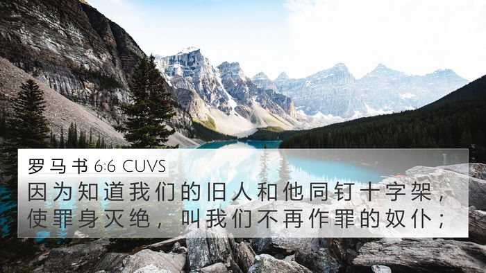 罗 马 书 6:6 CUVS Bible Verse Image