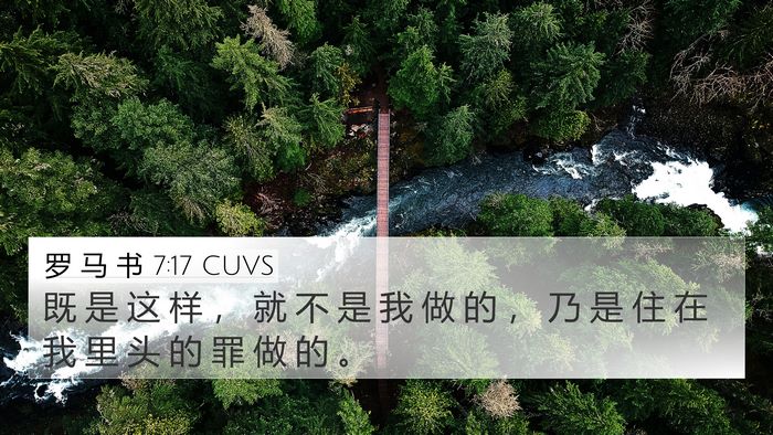 罗 马 书 7:17 CUVS Bible Verse Image