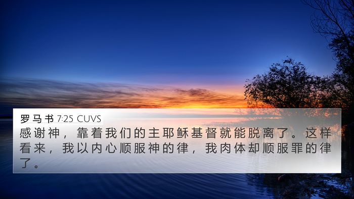 罗 马 书 7:25 CUVS Bible Verse Image