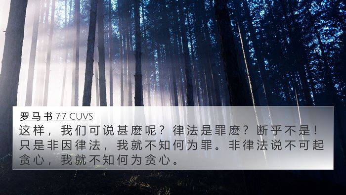 罗 马 书 7:7 CUVS Bible Verse Image