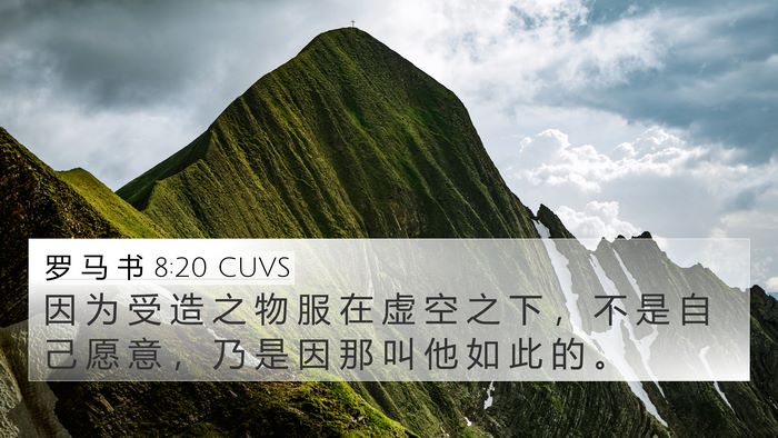 罗 马 书 8:20 CUVS Bible Verse Image