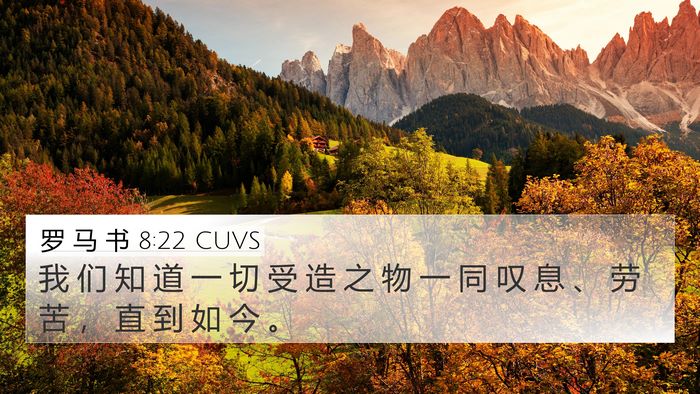 罗 马 书 8:22 CUVS Bible Verse Image
