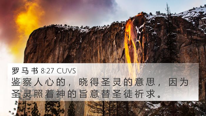 罗 马 书 8:27 CUVS Bible Verse Image