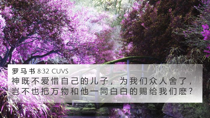 罗 马 书 8:32 CUVS Bible Verse Image