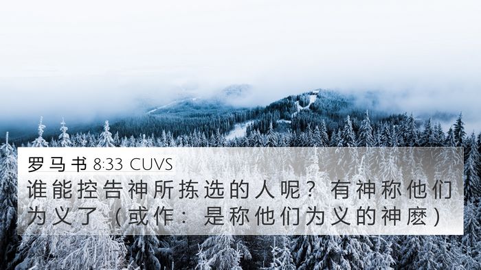 罗 马 书 8:33 CUVS Bible Verse Image