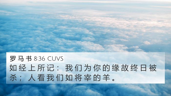 罗 马 书 8:36 CUVS Bible Verse Image