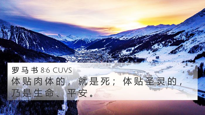 罗 马 书 8:6 CUVS Bible Verse Image