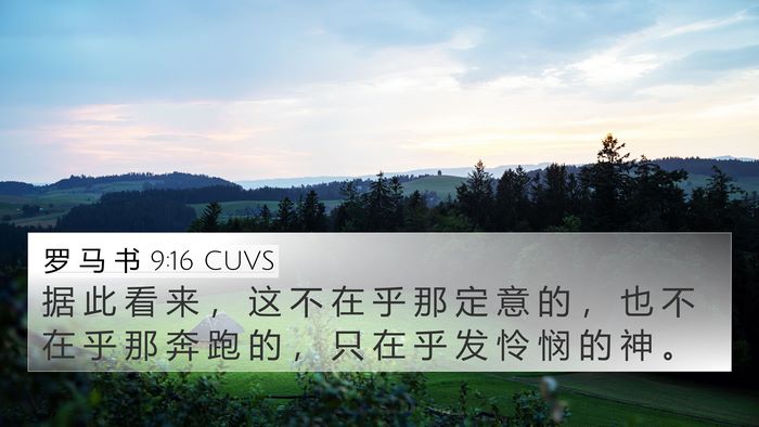罗 马 书 9:16 CUVS Bible Verse Image