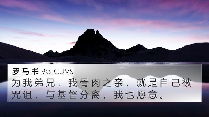 罗 马 书 9:3 CUVS Bible Verse Image