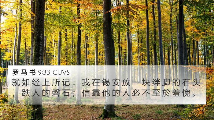 罗 马 书 9:33 CUVS Bible Verse Image