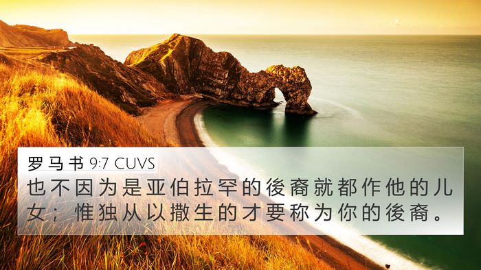 罗 马 书 9:7 CUVS Bible Verse Image