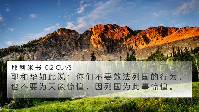 耶 利 米 书 10:2 CUVS 4K Wallpaper - 耶 和 华 如 此 说 ： 你 们 不 要 效 - 4K Wallpaper Bible Verse
