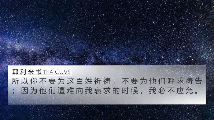 耶 利 米 书 11:14 CUVS Bible Verse Image