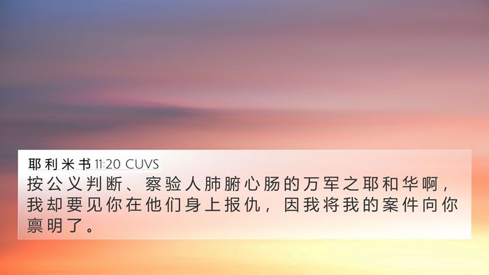 耶 利 米 书 11:20 CUVS Bible Verse Image