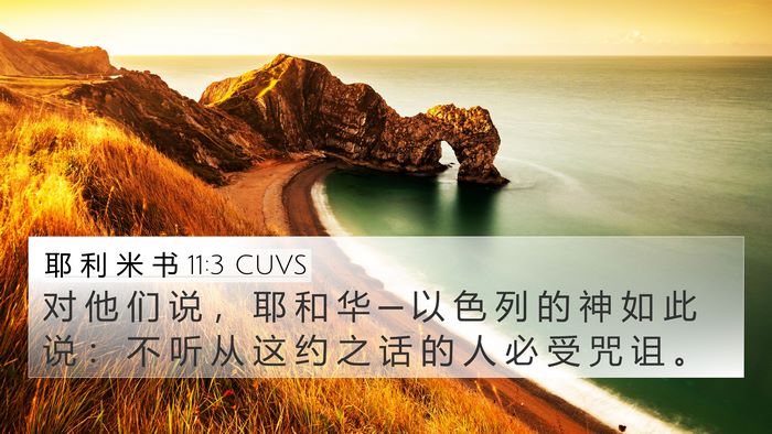 耶 利 米 书 11:3 CUVS 4K Wallpaper - 对 他 们 说 ， 耶 和 华 ─ 以 色 列 - 4K Wallpaper Bible Verse