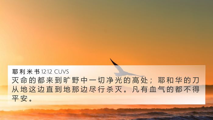 耶 利 米 书 12:12 CUVS Bible Verse Image
