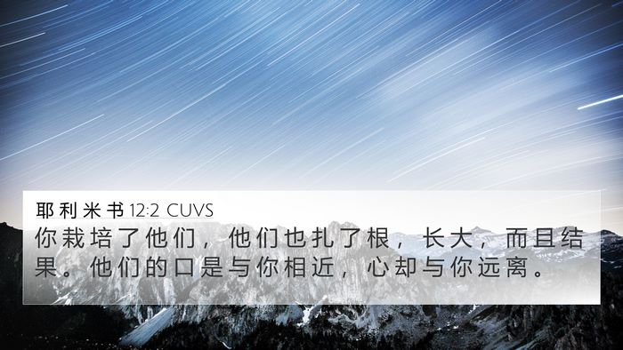 耶 利 米 书 12:2 CUVS Bible Verse Image