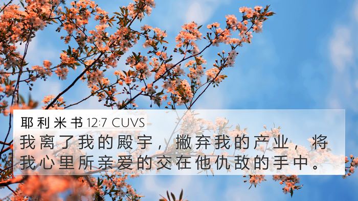 耶 利 米 书 12:7 CUVS 4K Wallpaper - 我 离 了 我 的 殿 宇 ， 撇 弃 我 的 - 4K Wallpaper Bible Verse