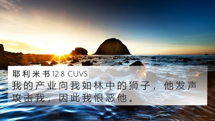 耶 利 米 书 12:8 CUVS Bible Verse Image
