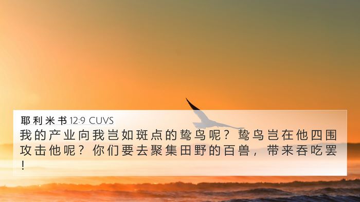 耶 利 米 书 12:9 CUVS 4K Wallpaper - 我 的 产 业 向 我 岂 如 斑 点 的 鸷 - 4K Wallpaper Bible Verse