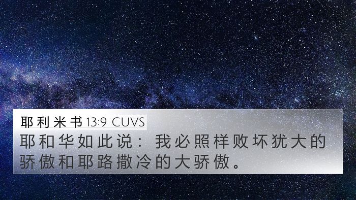 耶 利 米 书 13:9 CUVS 4K Wallpaper - 耶 和 华 如 此 说 ： 我 必 照 样 败 - 4K Wallpaper Bible Verse