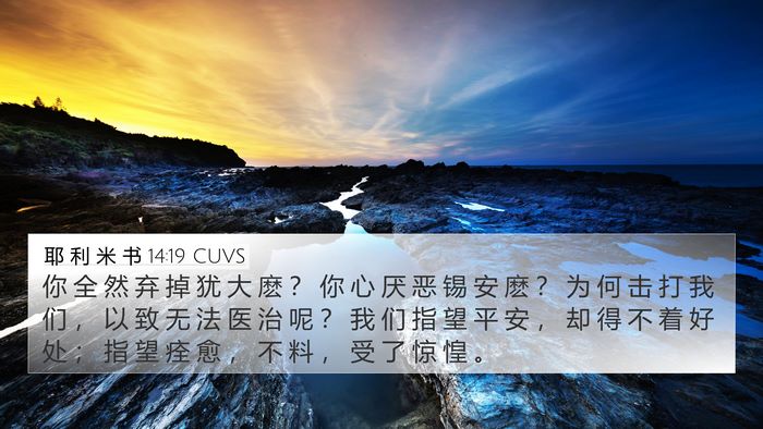 耶 利 米 书 14:19 CUVS Bible Verse Image