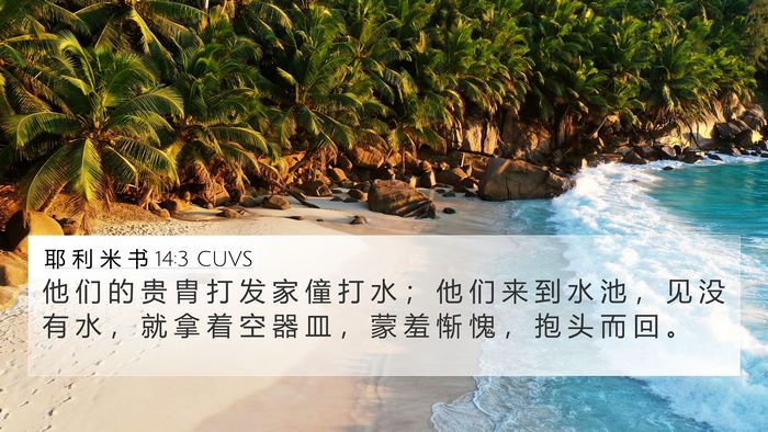 耶 利 米 书 14:3 CUVS Bible Verse Image