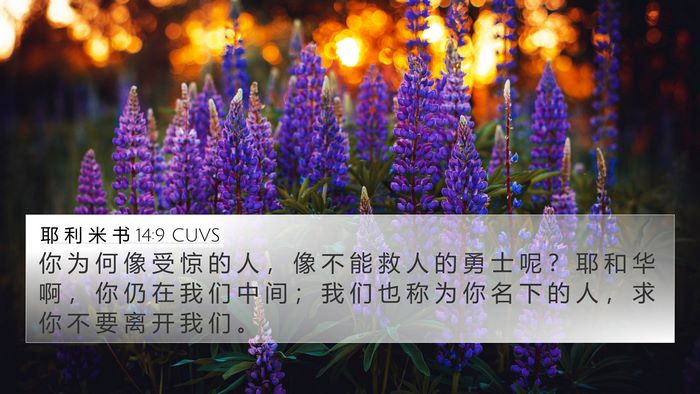 耶 利 米 书 14:9 CUVS Bible Verse Image