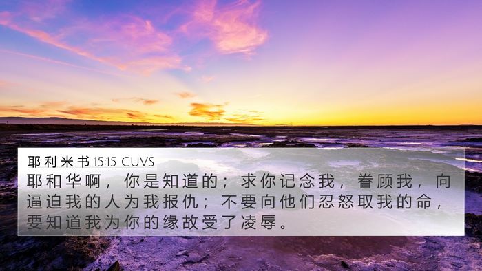 耶 利 米 书 15:15 CUVS Bible Verse Image