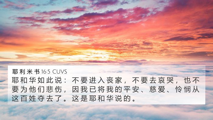 耶 利 米 书 16:5 CUVS Bible Verse Image