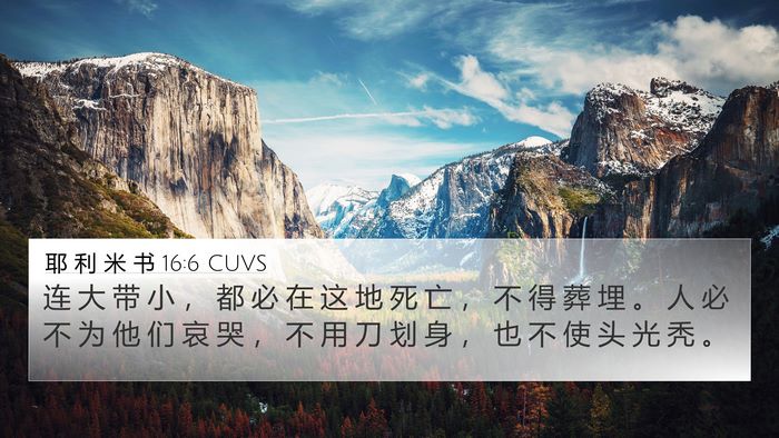 耶 利 米 书 16:6 CUVS Bible Verse Image