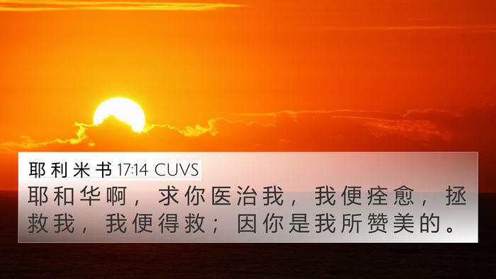 耶 利 米 书 17:14 CUVS Bible Verse Image
