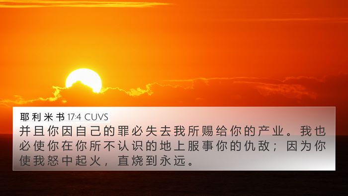 耶 利 米 书 17:4 CUVS Bible Verse Image