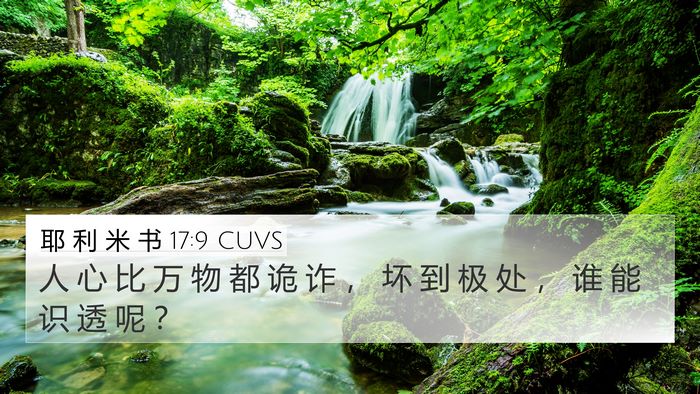 耶 利 米 书 17:9 CUVS Bible Verse Image