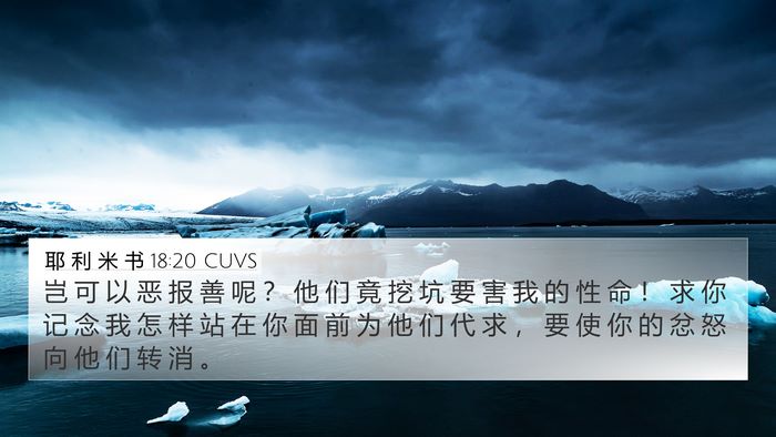 耶 利 米 书 18:20 CUVS Bible Verse Image