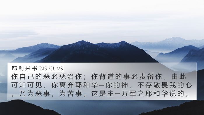 耶 利 米 书 2:19 CUVS Bible Verse Image