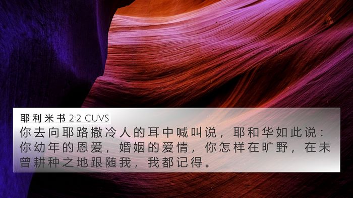 耶 利 米 书 2:2 CUVS Bible Verse Image