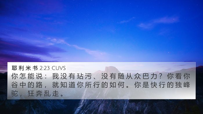 耶 利 米 书 2:23 CUVS Bible Verse Image