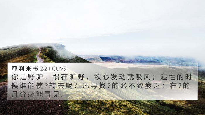 耶 利 米 书 2:24 CUVS Bible Verse Image