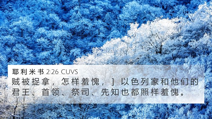 耶 利 米 书 2:26 CUVS Bible Verse Image