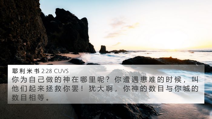 耶 利 米 书 2:28 CUVS Bible Verse Image
