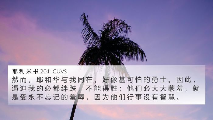 耶 利 米 书 20:11 CUVS Bible Verse Image