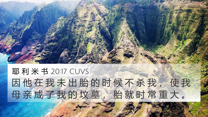耶 利 米 书 20:17 CUVS Bible Verse Image