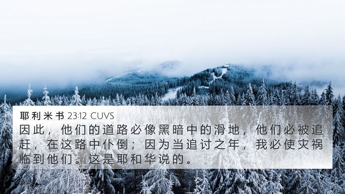 耶 利 米 书 23:12 CUVS Bible Verse Image